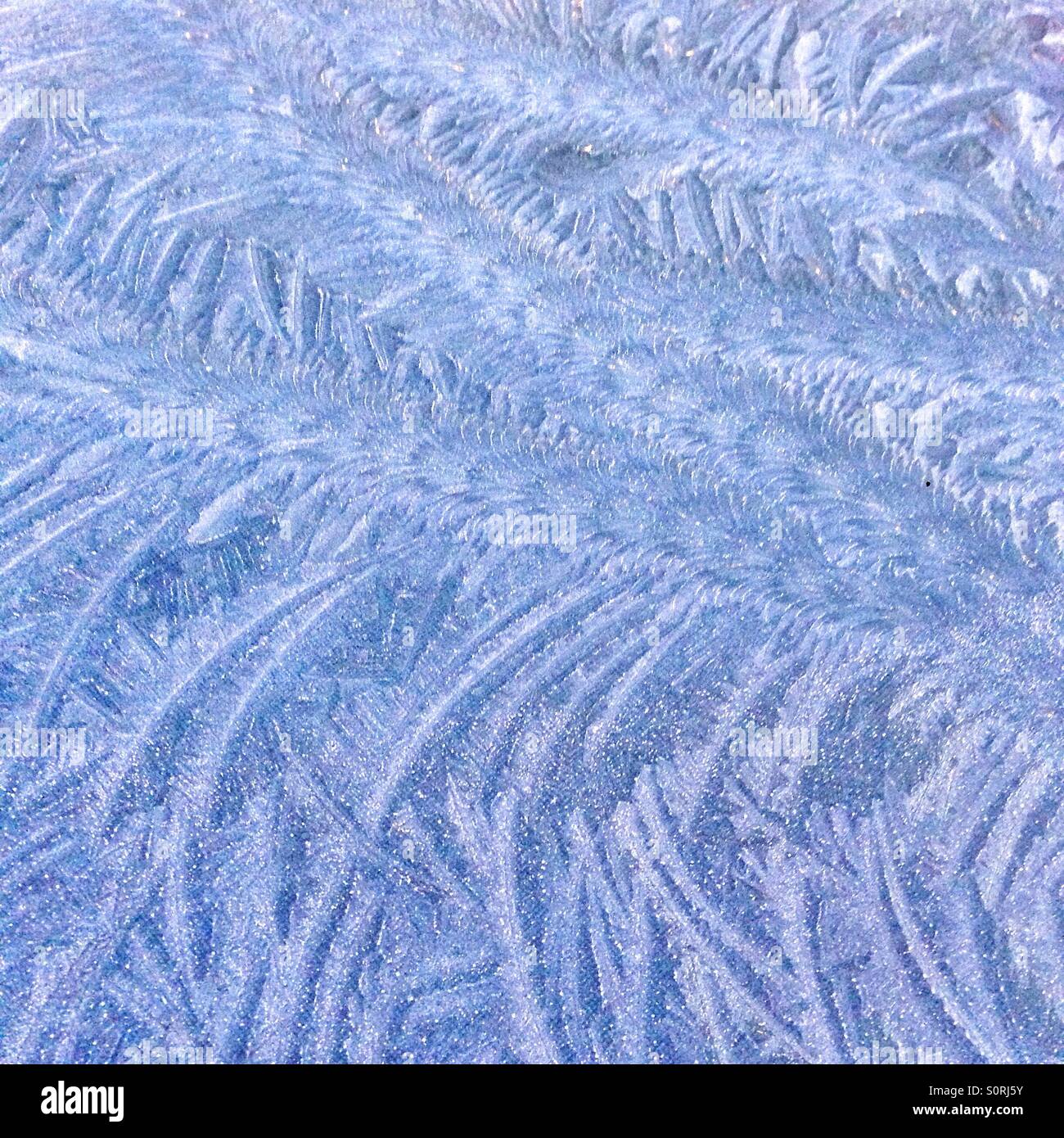 Eiskristalle am Fenster-Glas - Smartphone-aufgenommenes Stockfoto