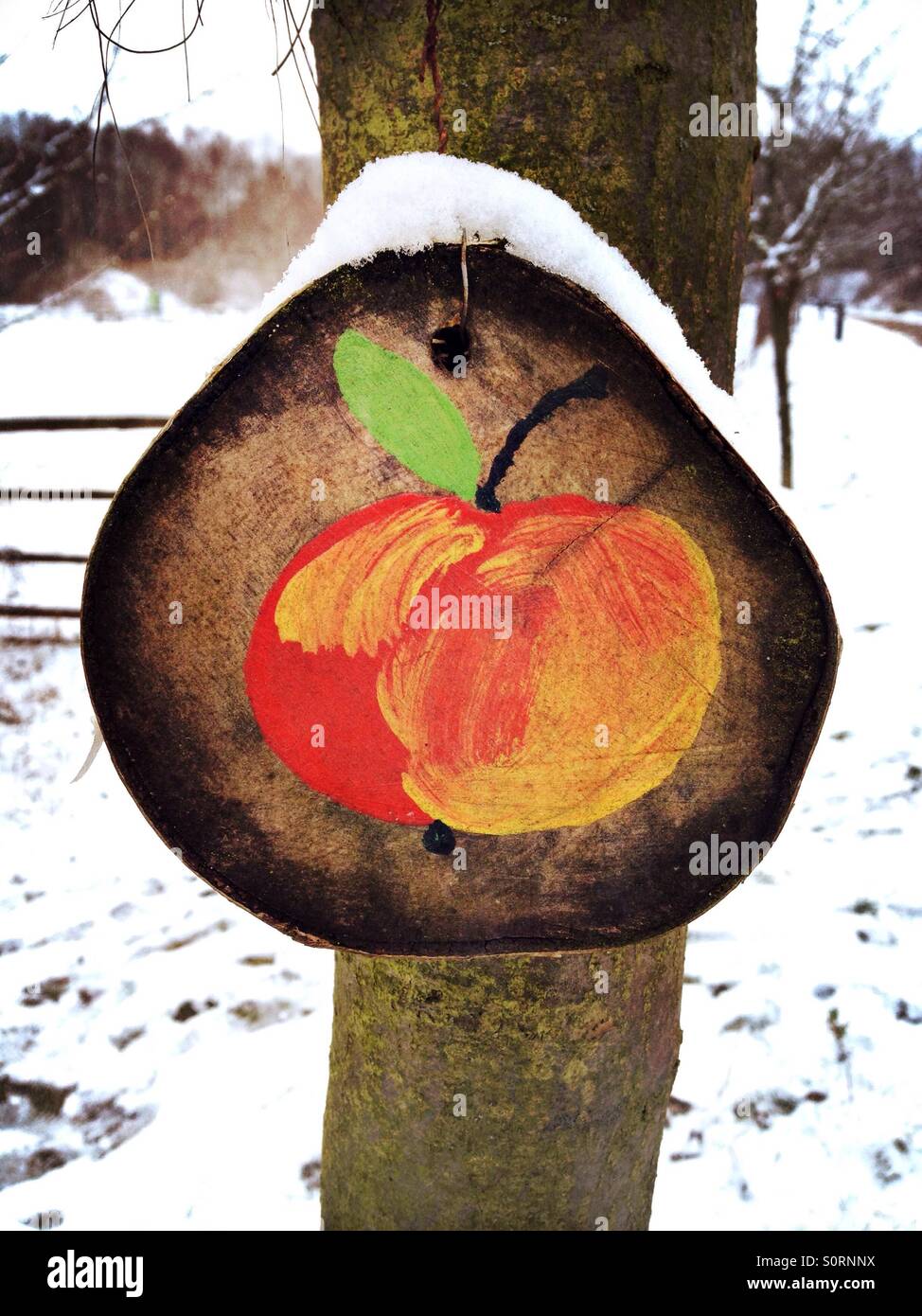 Eine Zeichnung des Apfels auf einem Stamm im winter Stockfoto