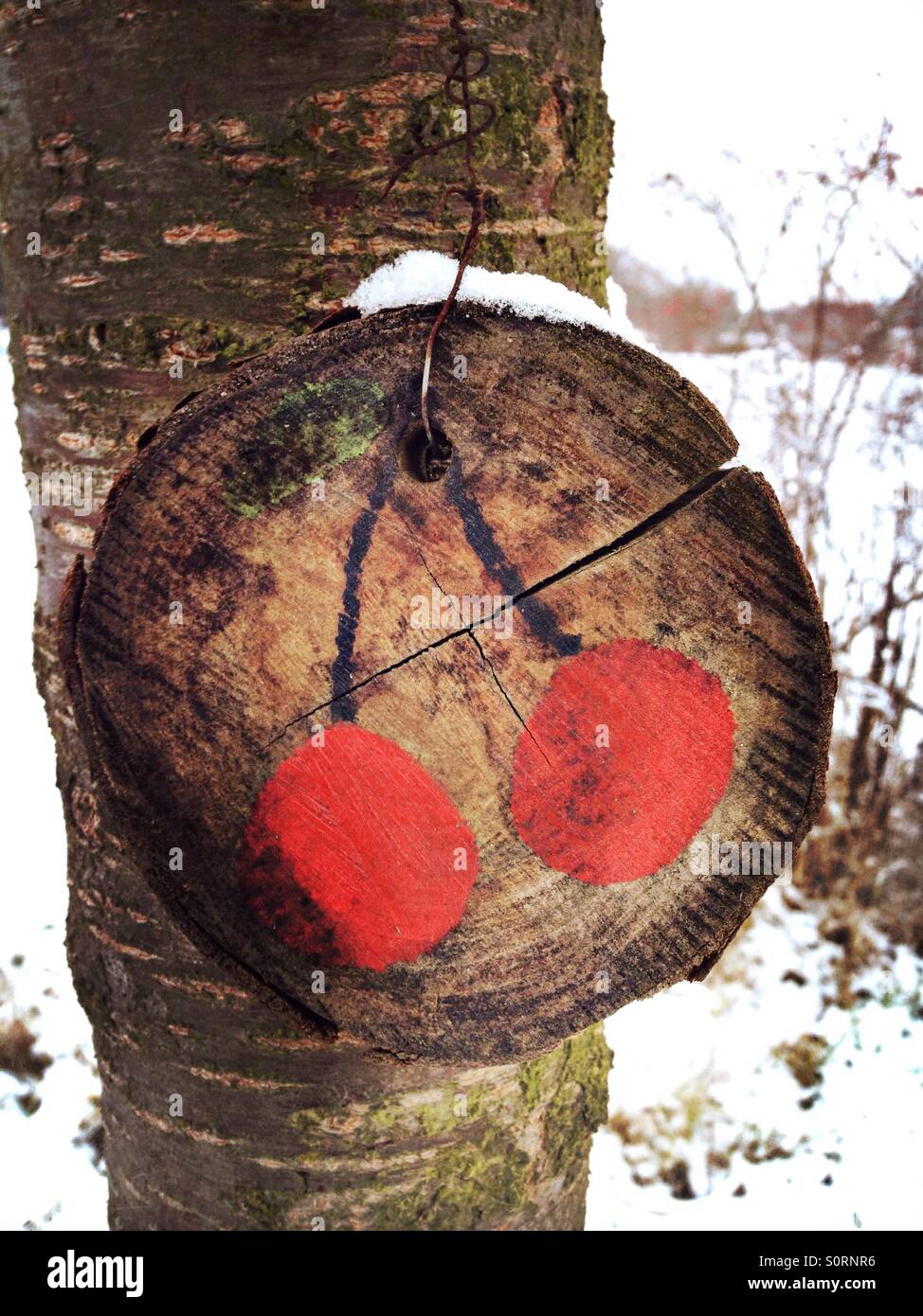 Eine Zeichnung von einem Paar Kirschen auf einen Stamm im winter Stockfoto