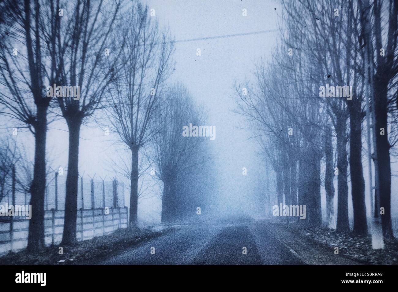 Winternebel in Ploist, Rumänien Stockfoto