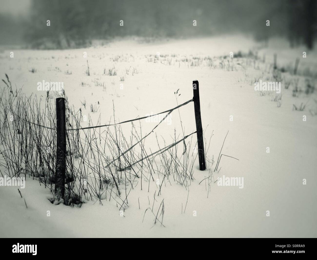 Zaun im Schneesturm - Smartphone-aufgenommenes Stockfoto
