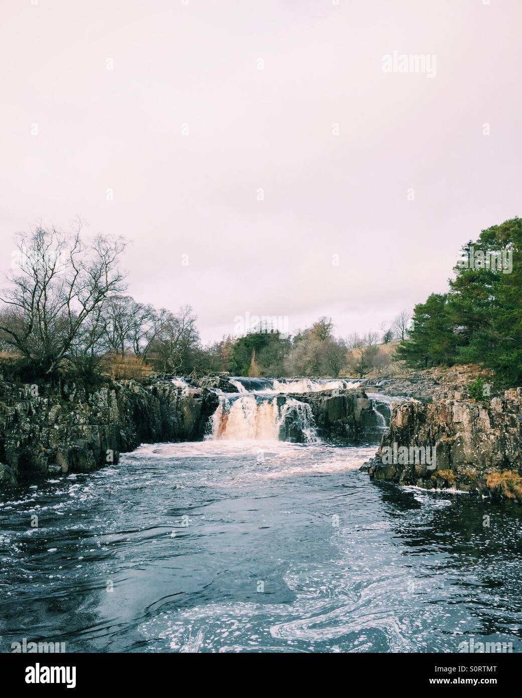 Der River Tees am Low Force Wasserfall in Teesdale, England, während des Winters. Stockfoto