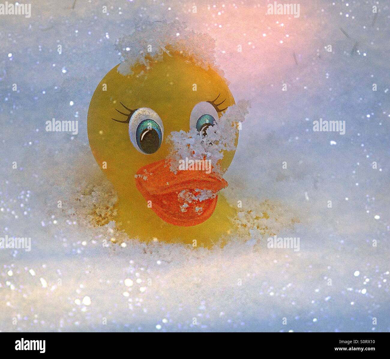 .. kalter Schnee... - Smartphone-aufgenommenes Stockfoto