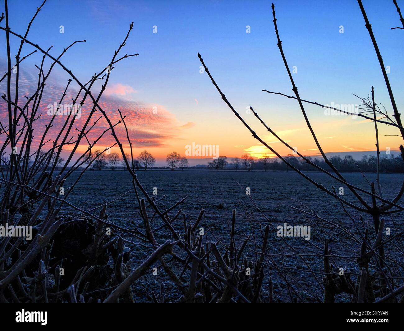 Winterlichen Sonnenaufgang Stockfoto