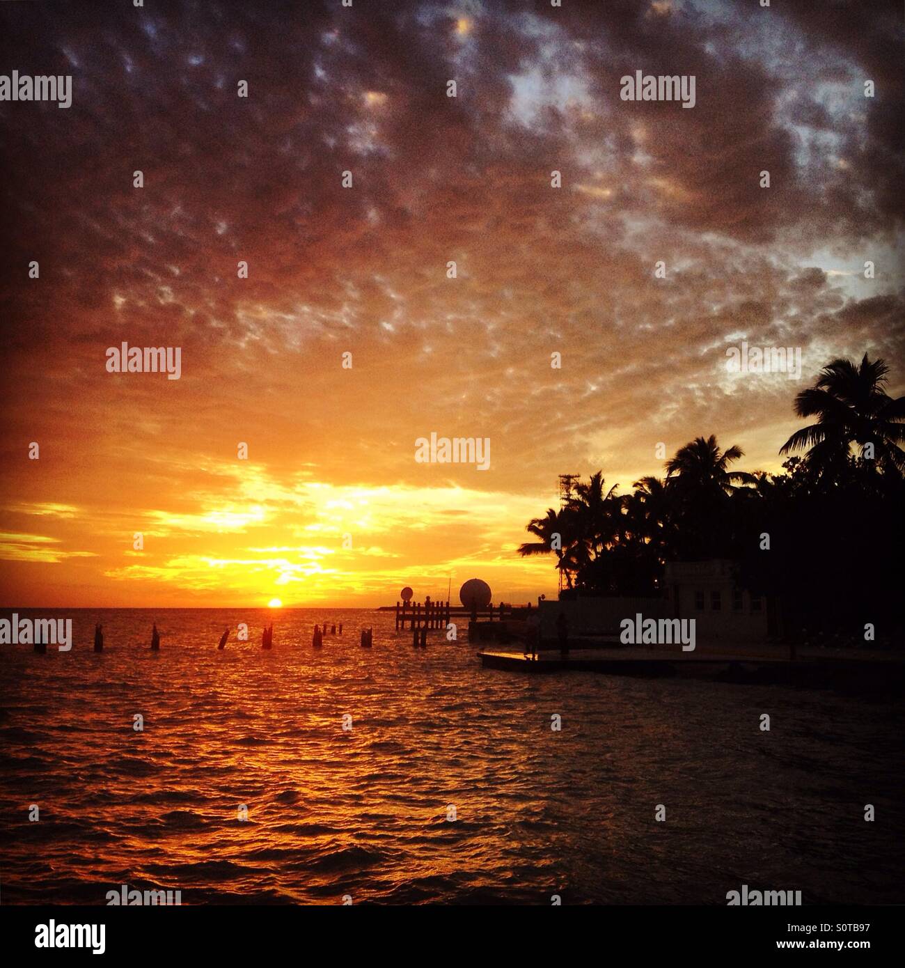 Sonnenuntergang in Key West Stockfoto