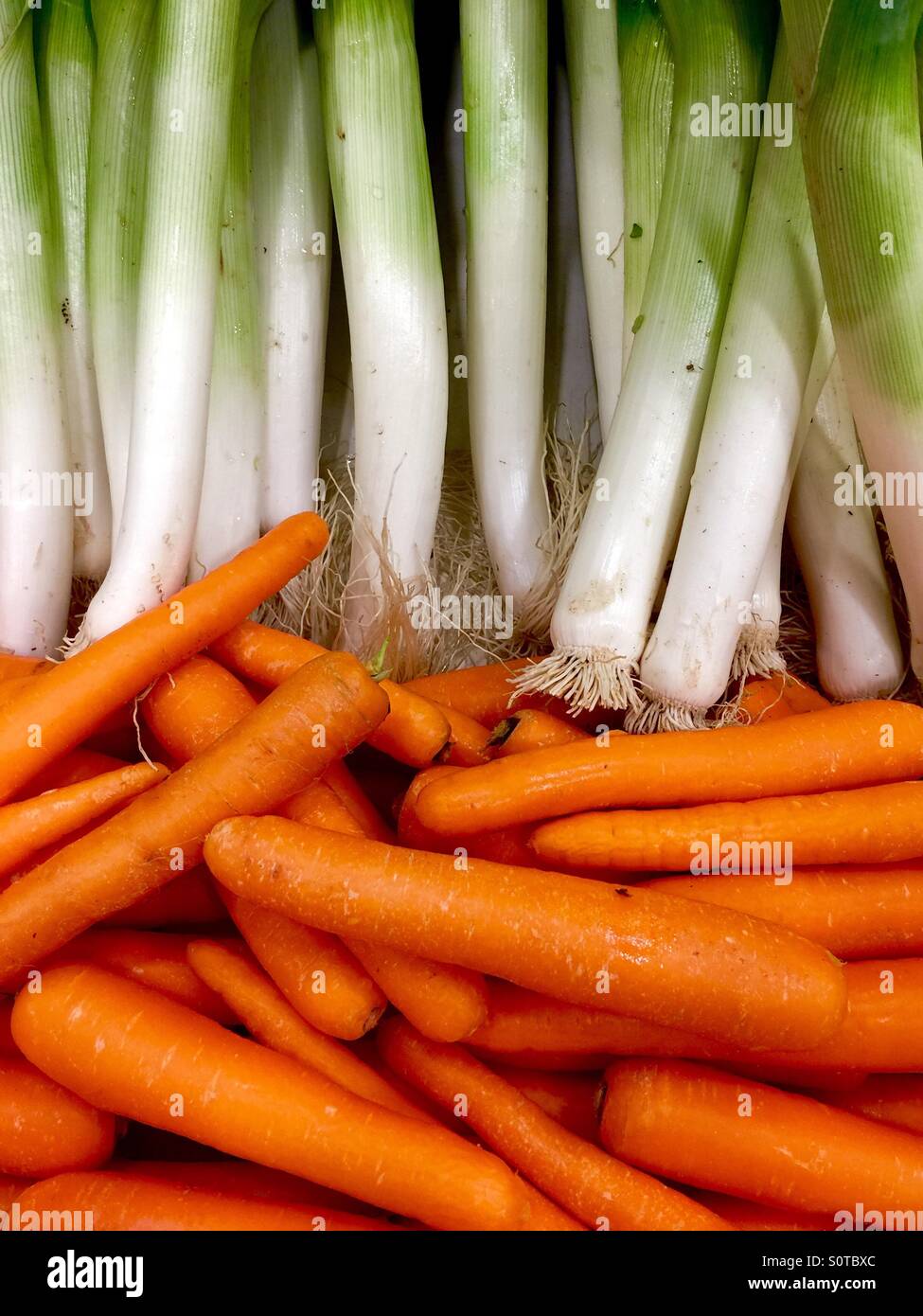 Gemüse, Karotten, Möhren. Gemüse, Lecks, Leck, Bio, Essen Stockfotografie -  Alamy