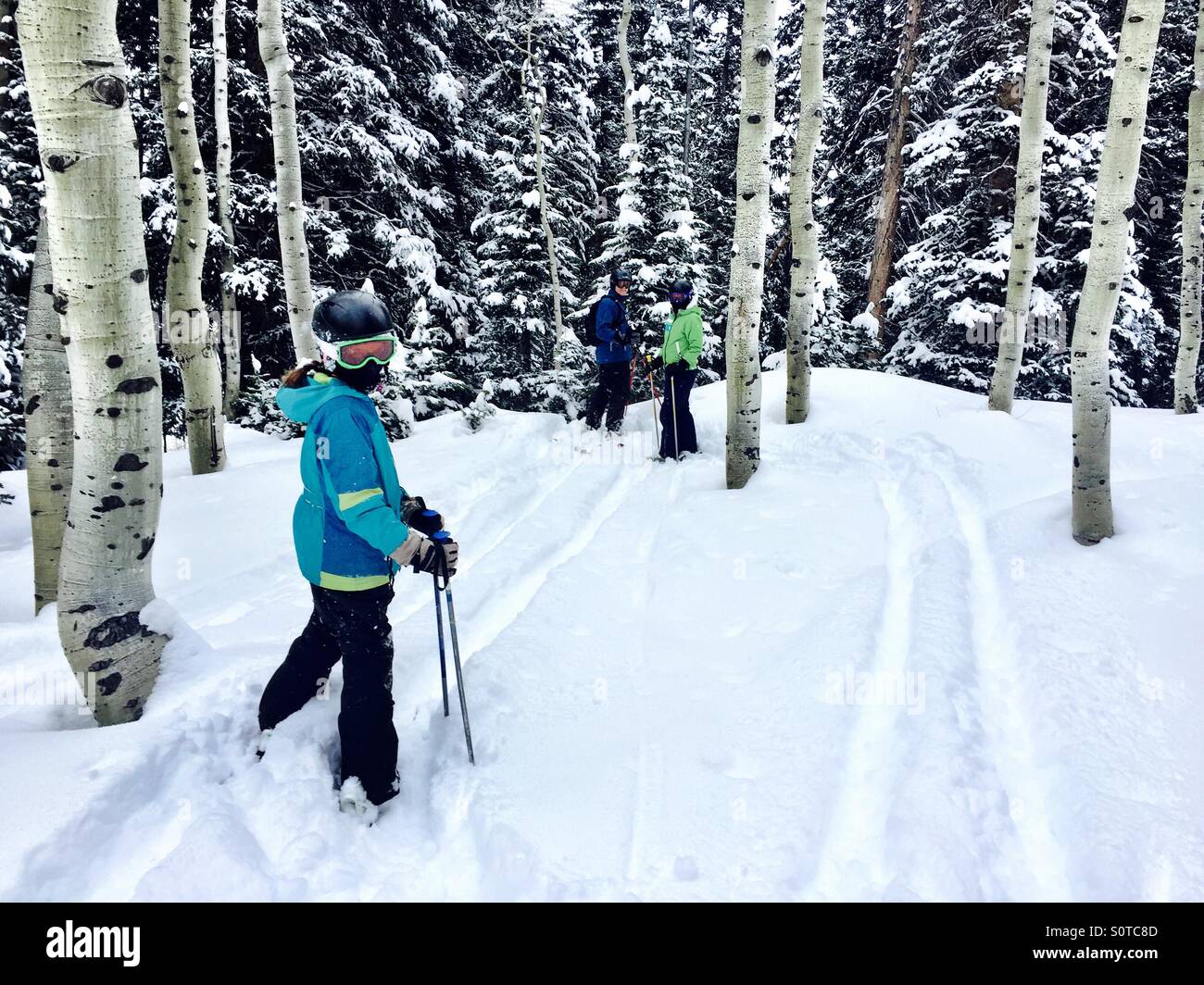 3 Familie, die Mitglieder im Ski-Ausrüstung vorbereiten durch Skifahren und Aspen Grove. Stockfoto