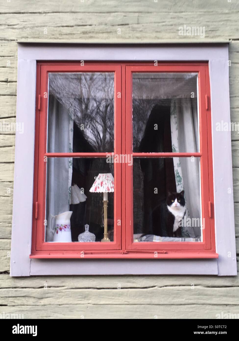 Traditionelle Fensteransicht mit einer schwarzen und weißen Katze nach draußen, Linköping, Schweden Stockfoto