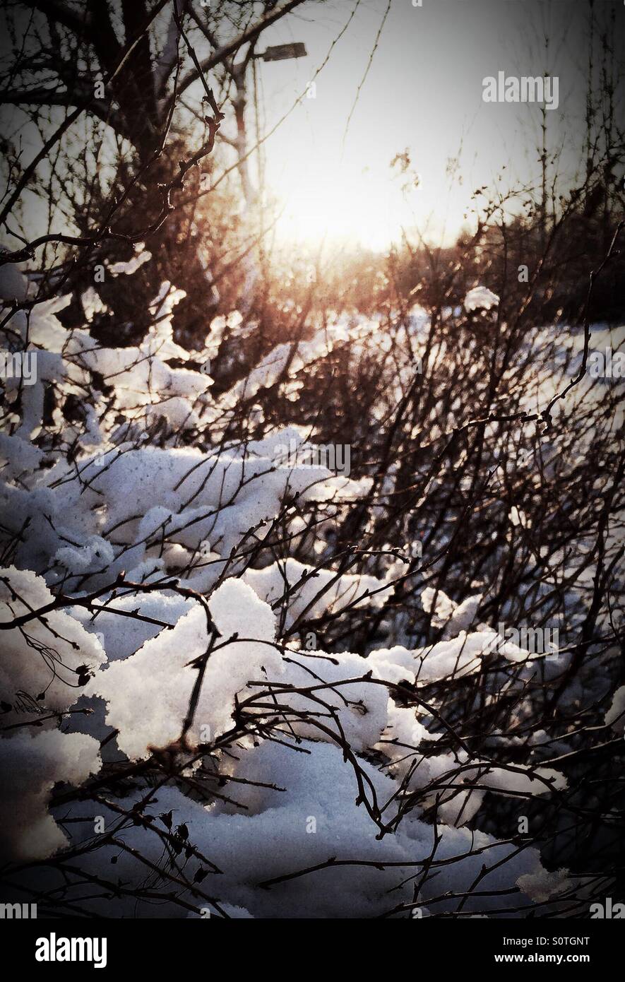 Sonniger Wintertag Stockfoto