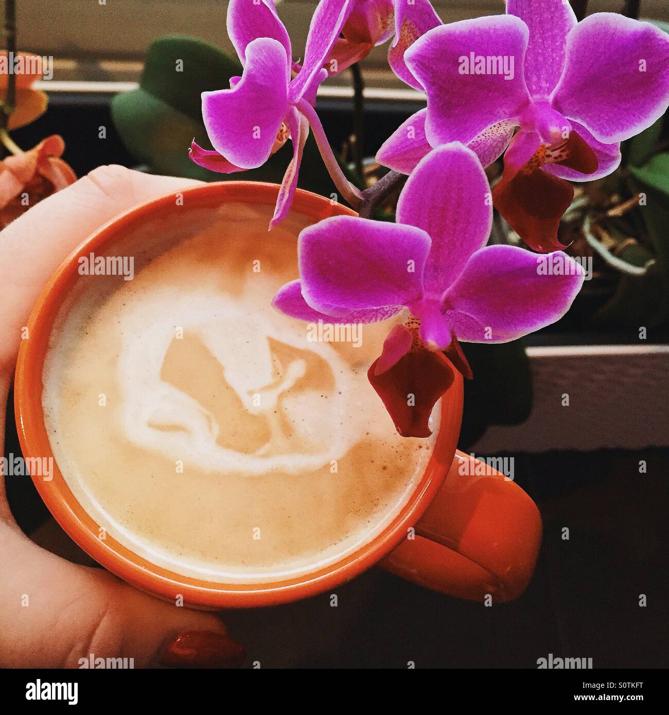 Tasse Kaffee und Blume Stockfoto