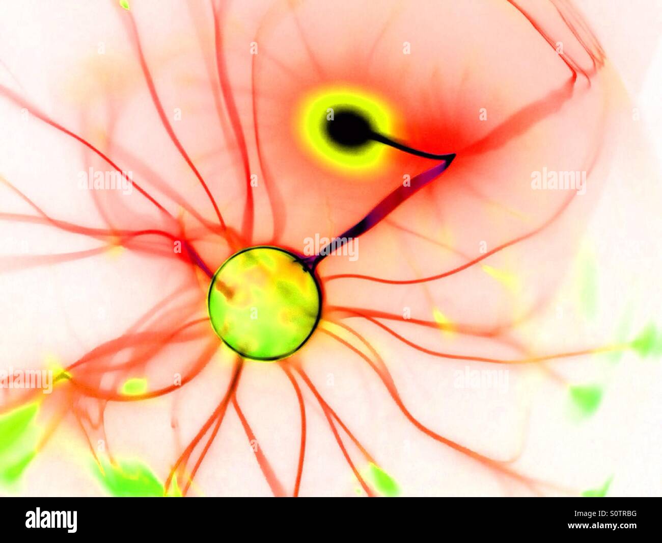 Plasma-Kugel mit Farben invertiert - Smartphone-aufgenommenes Stockfoto