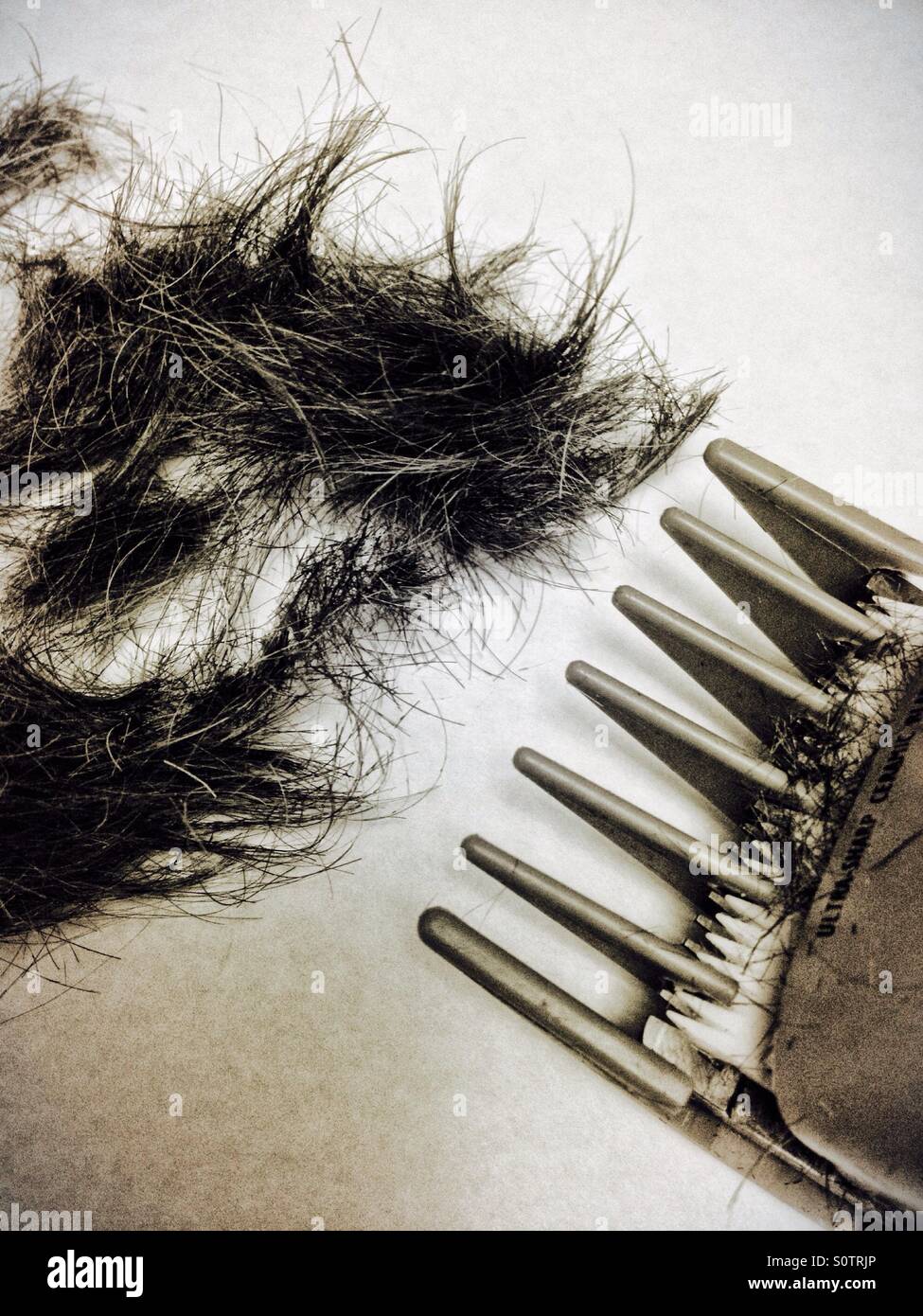 Elektro-Haar-Trimmer - Smartphone-aufgenommenes Stockfoto