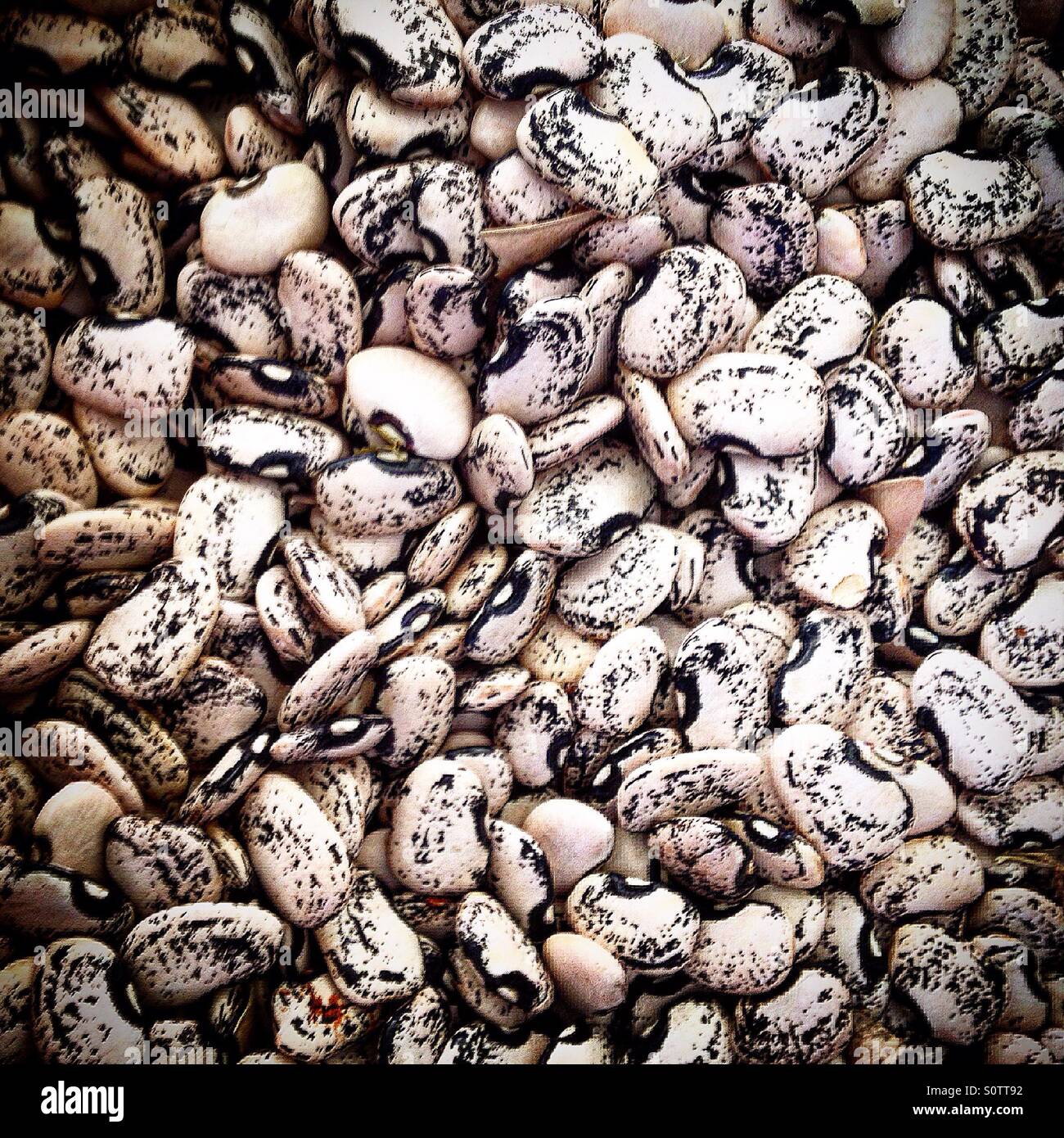 Farbige Bohnen zum Verkauf in Foro Tianguis Alternativo Biomarkt in Colonia Roma, Mexiko-Stadt, Mexiko - Smartphone-aufgenommenes Stockfoto