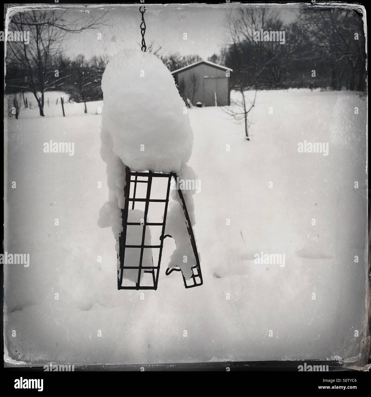 Ein Talg-Käfig, die Entleerung durch Eichhörnchen, mit Schnee bedeckt. - Smartphone-aufgenommenes Stockfoto