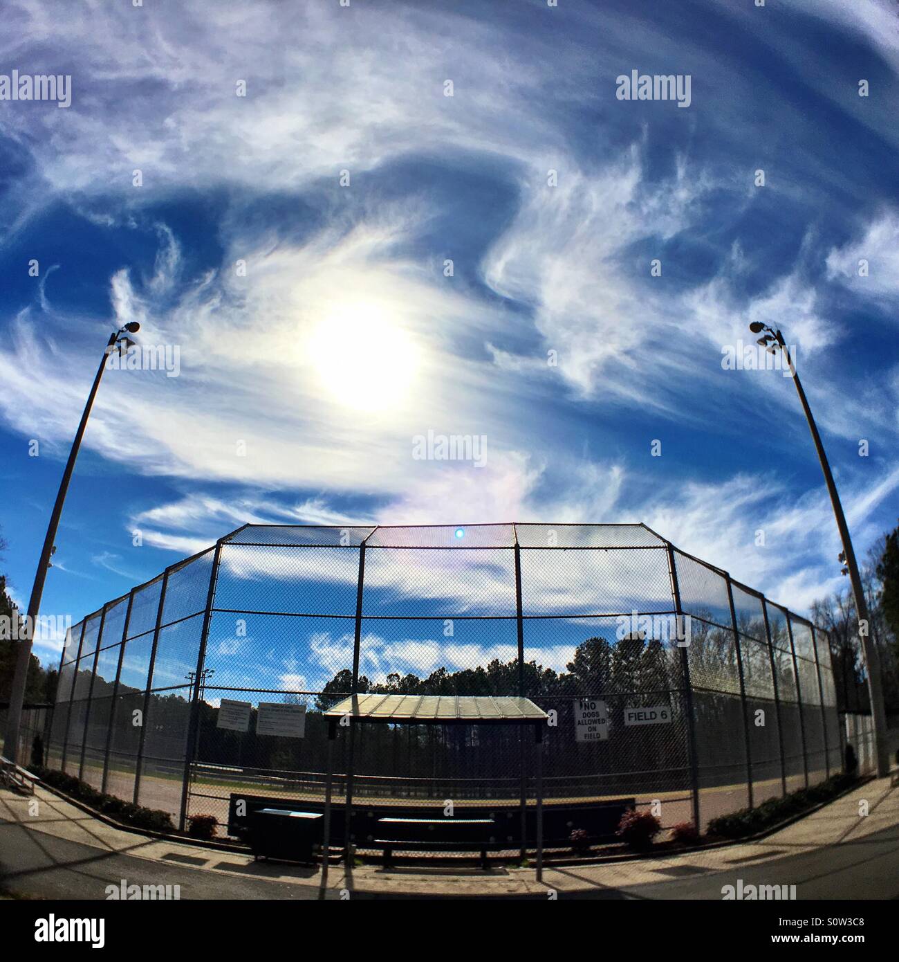 Baseball-Feld, Weitwinkel - Smartphone-aufgenommenes Stockfoto