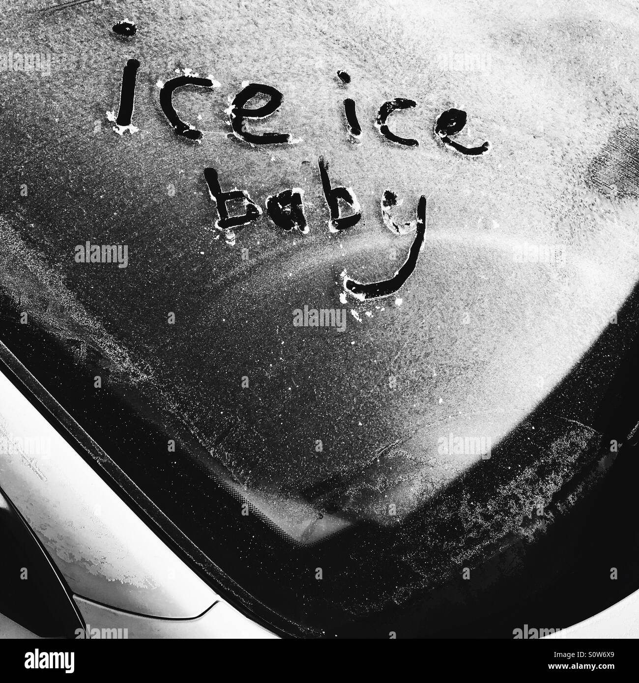 Ice Ice baby Stockfoto