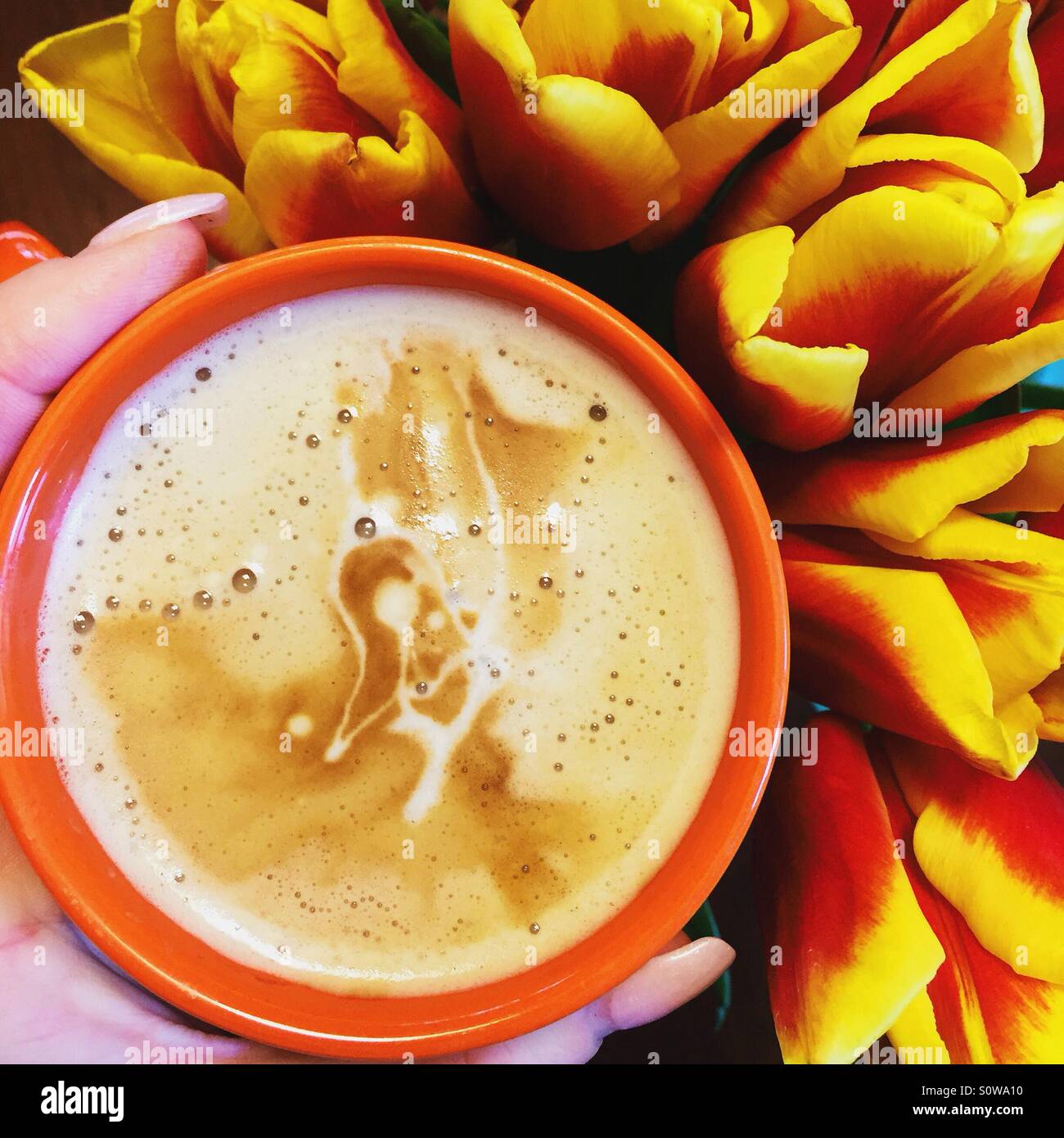 Hand hält eine Tasse Kaffee Stockfoto