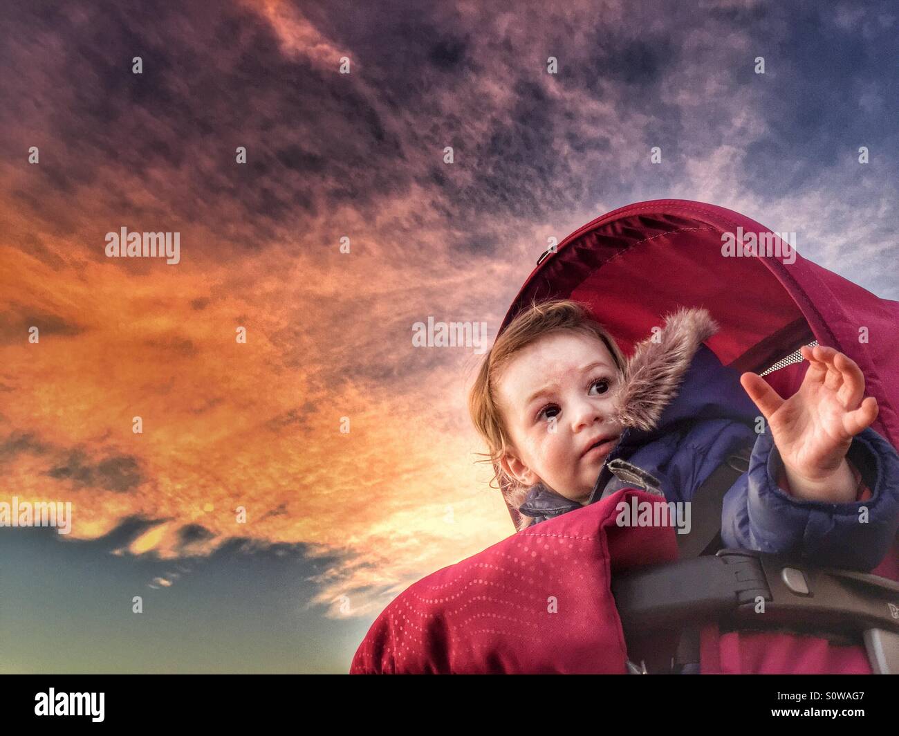 Baby im Kinderwagen Stockfoto