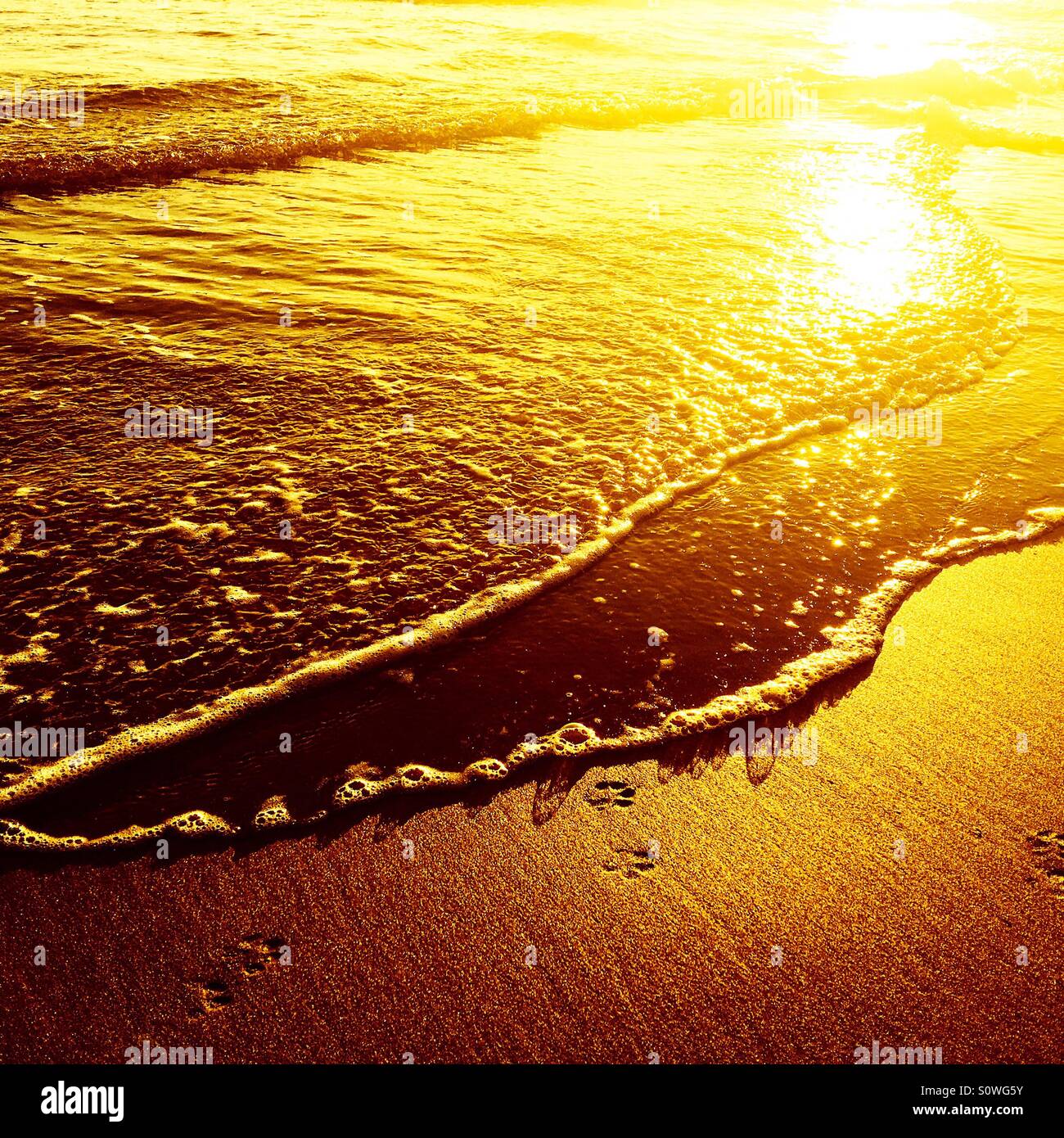 Meeresküste in goldenes Licht - Smartphone-aufgenommenes Stockfoto