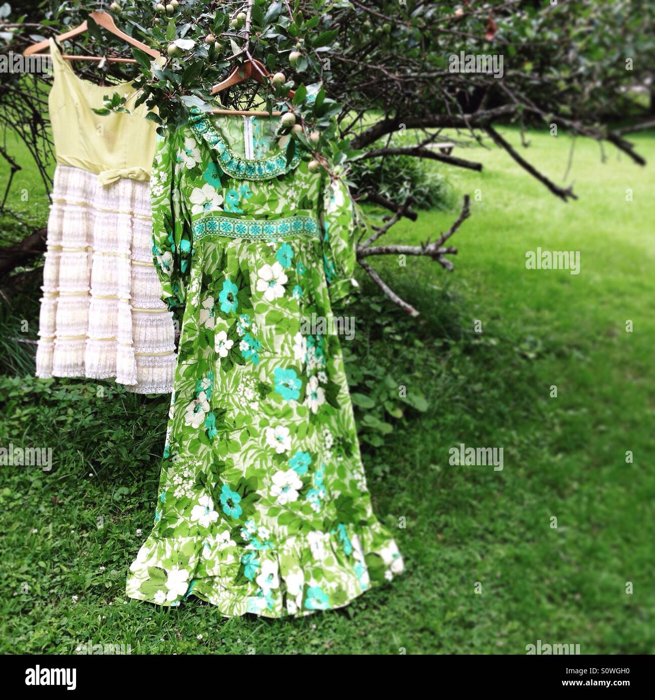 Vintage Kleider hängen Apfelbaum für Flohmarkt Stockfoto
