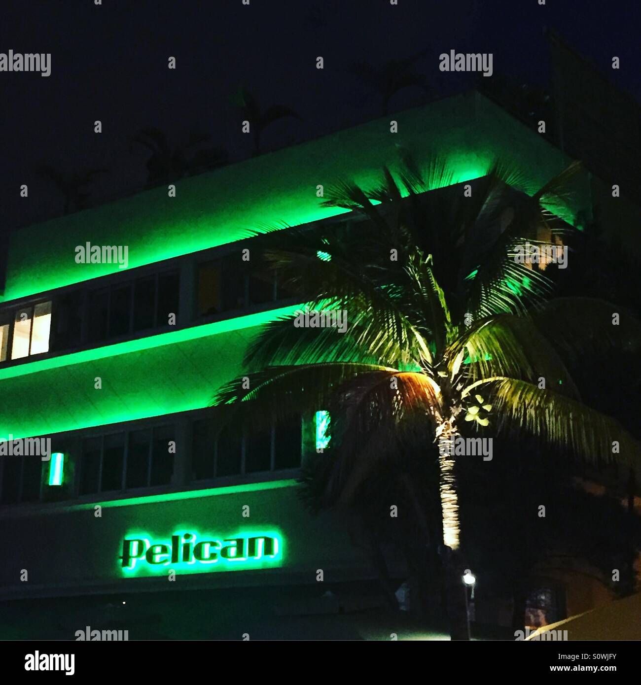 Grüner Neon Miami USA - Smartphone-aufgenommenes Stockfoto