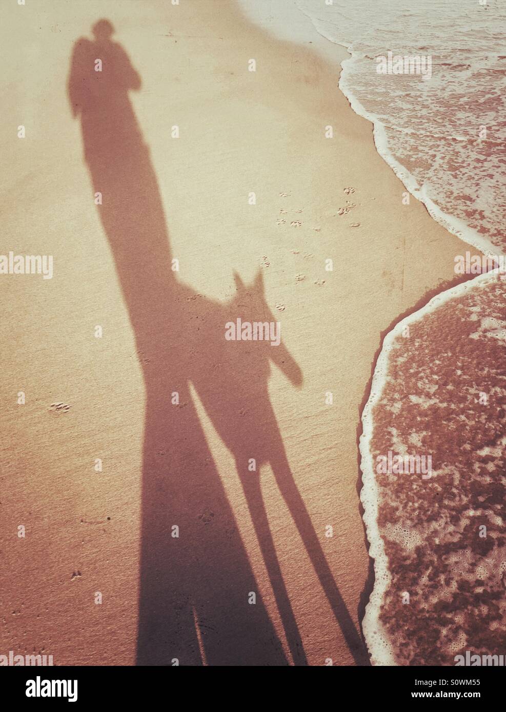 Mir und meinem Hund am Strand - Smartphone-aufgenommenes Stockfoto