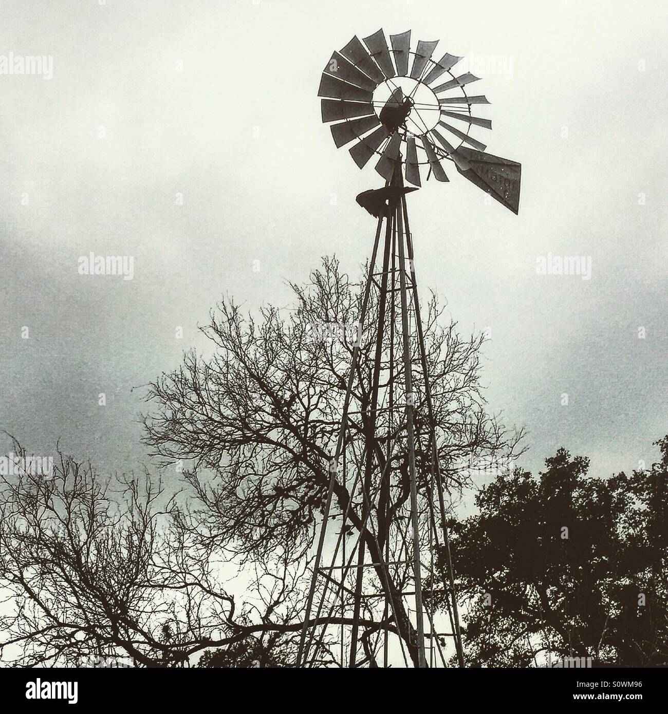 Windmühle auf ein trüber Tag in Texas Stockfoto