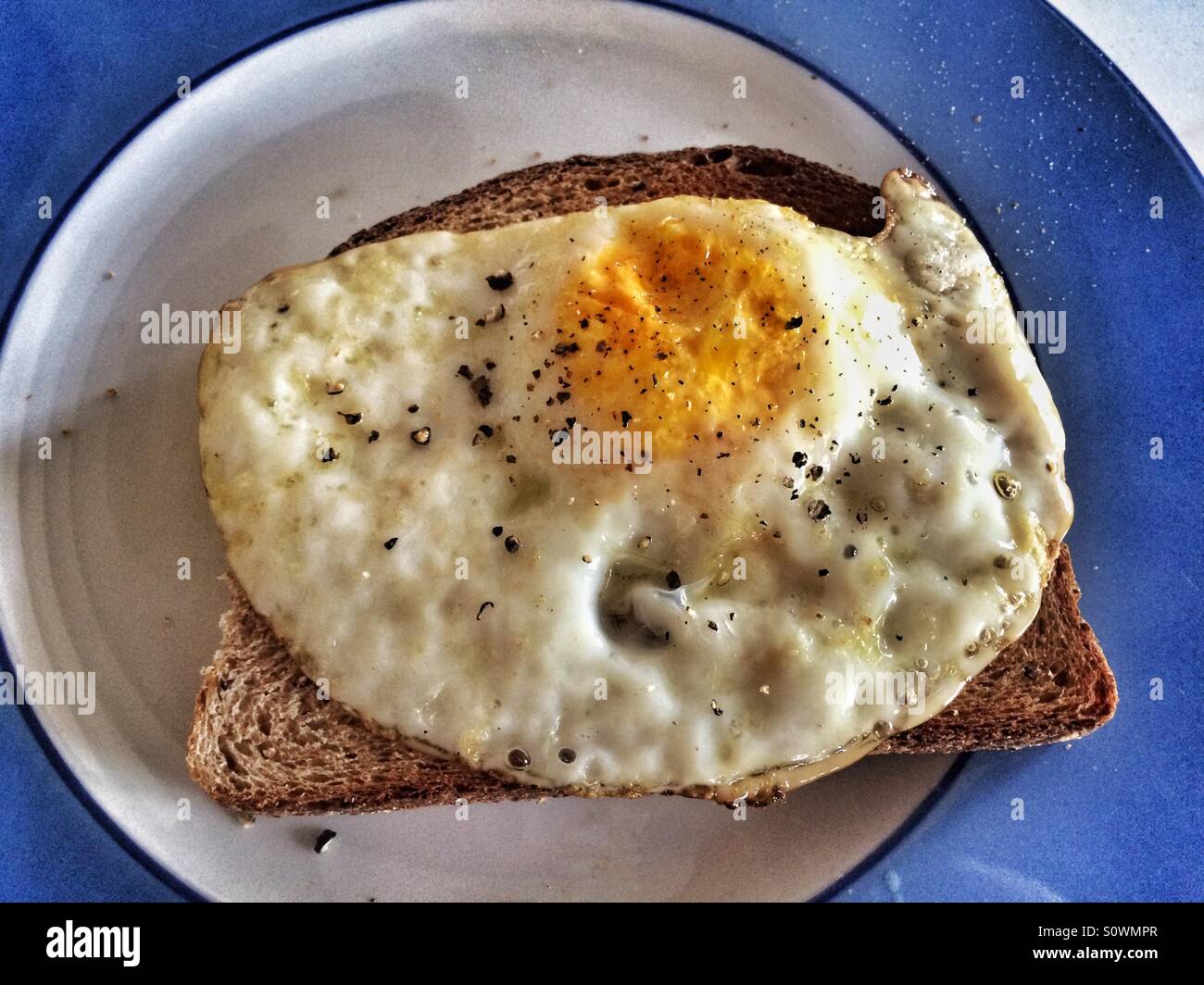 Gebratenes Ei auf Toast mit grob gemahlener schwarzer Pfeffer, präsentiert auf einem blau-weißen Teller Stockfoto
