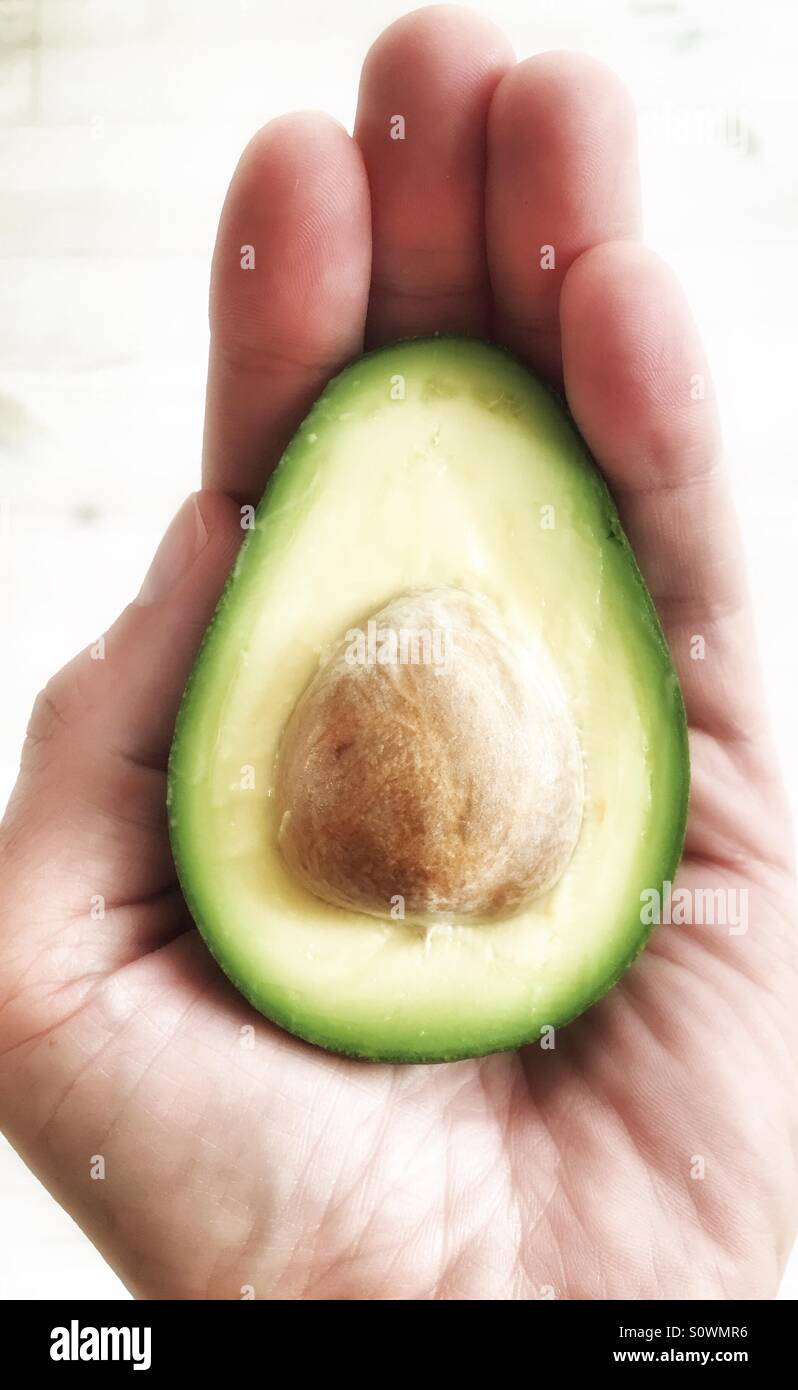 Avocado in der hand Stockfoto