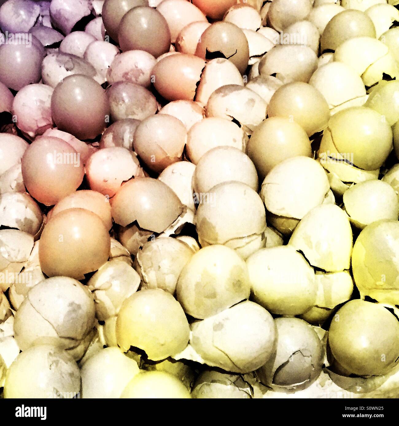 Nahaufnahme Detail des gebrochenen Eierschalen - Smartphone-aufgenommenes Stockfoto