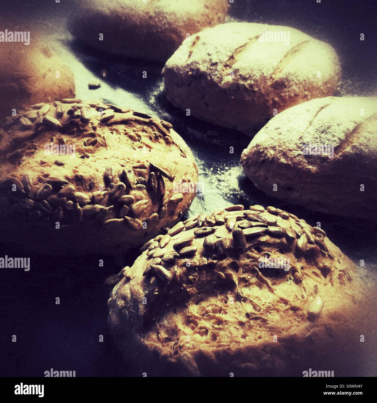 Frisch gebackene Brötchen - Smartphone-aufgenommenes Stockfoto