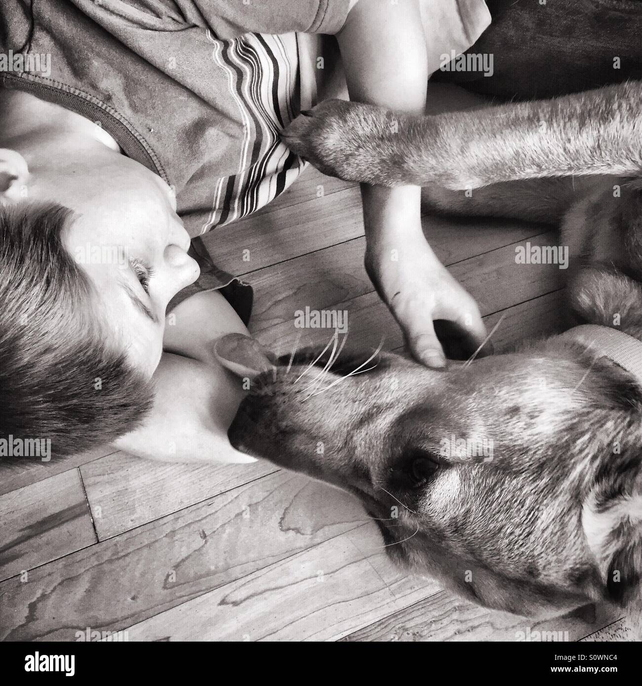 Ein Junge und sein Hund Zuneigung zueinander Stockfoto