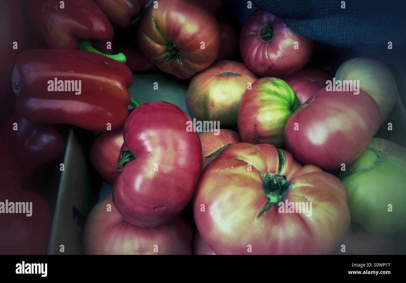 Tomaten und Paprika auf dem Markt Stockfoto