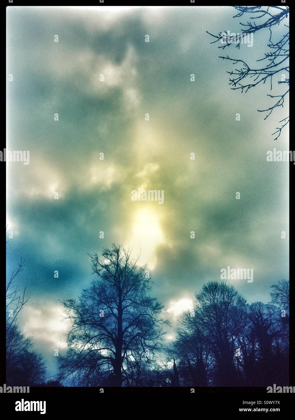 Die Sonne, der Himmel und Bäume. Stockfoto