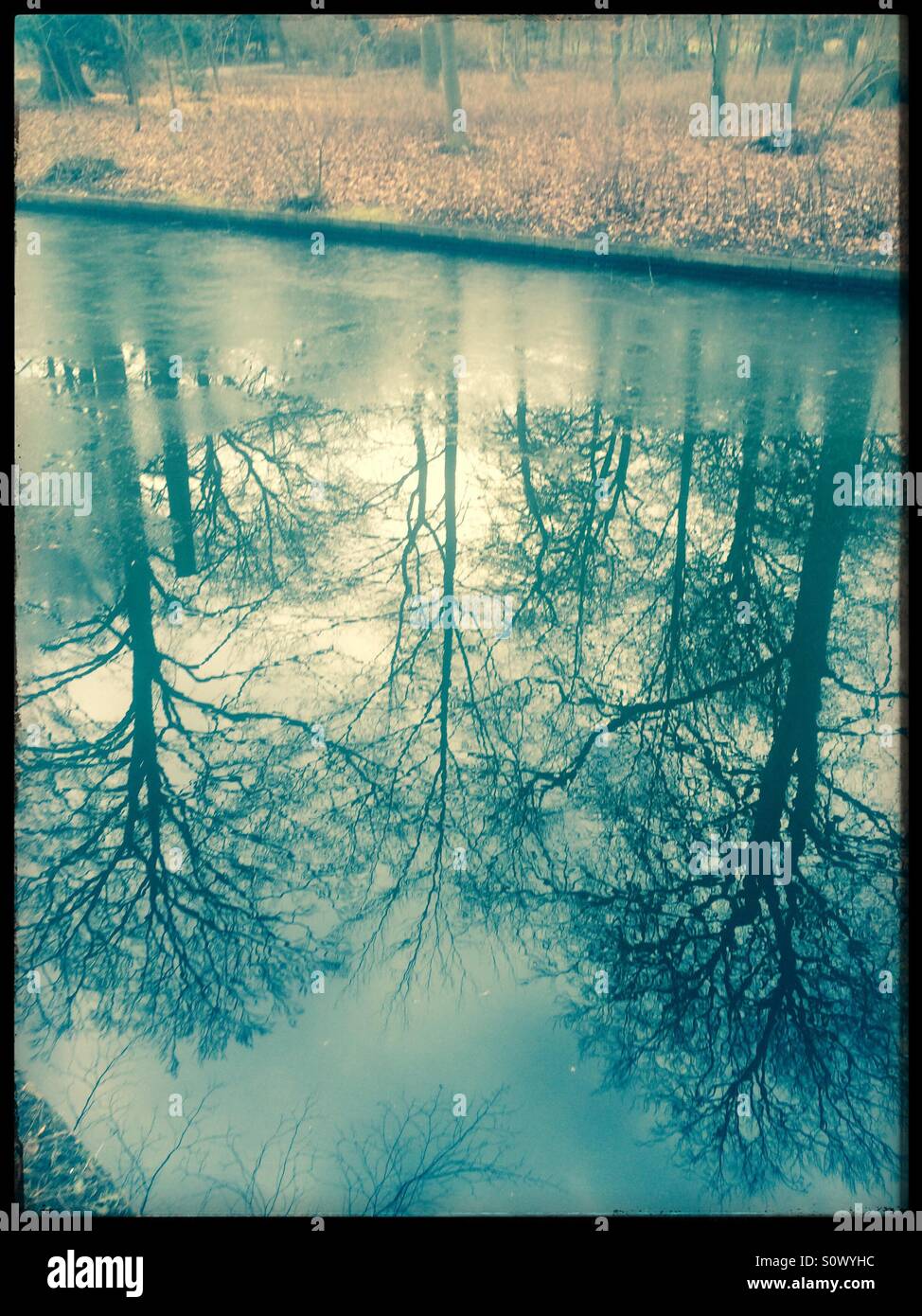 Reflexionen von Bäumen in einem See. Stockfoto