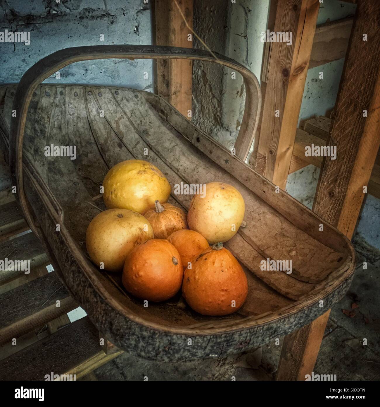 Alte hölzerne Trug Korb voller Herbst squash - Smartphone-aufgenommenes Stockfoto