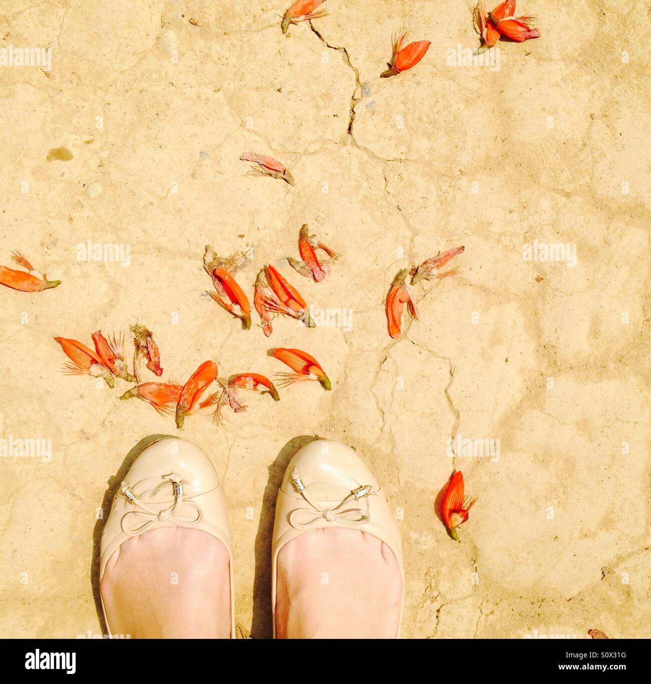 Schuhe - Smartphone-aufgenommenes Stockfoto