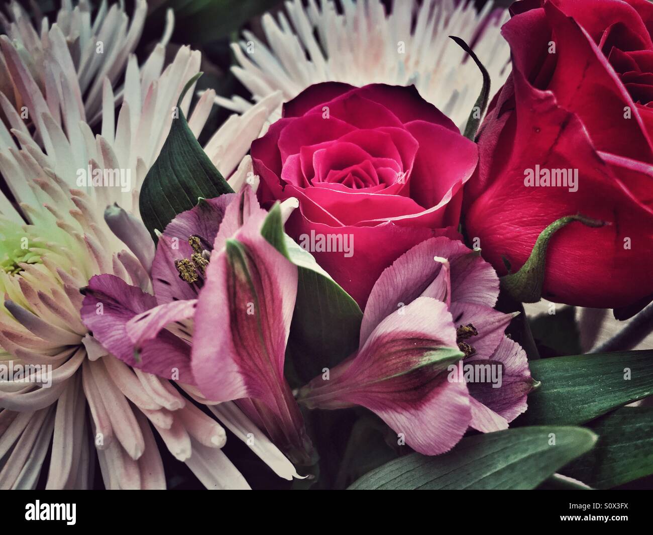 Blumenstrauß - Smartphone-aufgenommenes Stockfoto