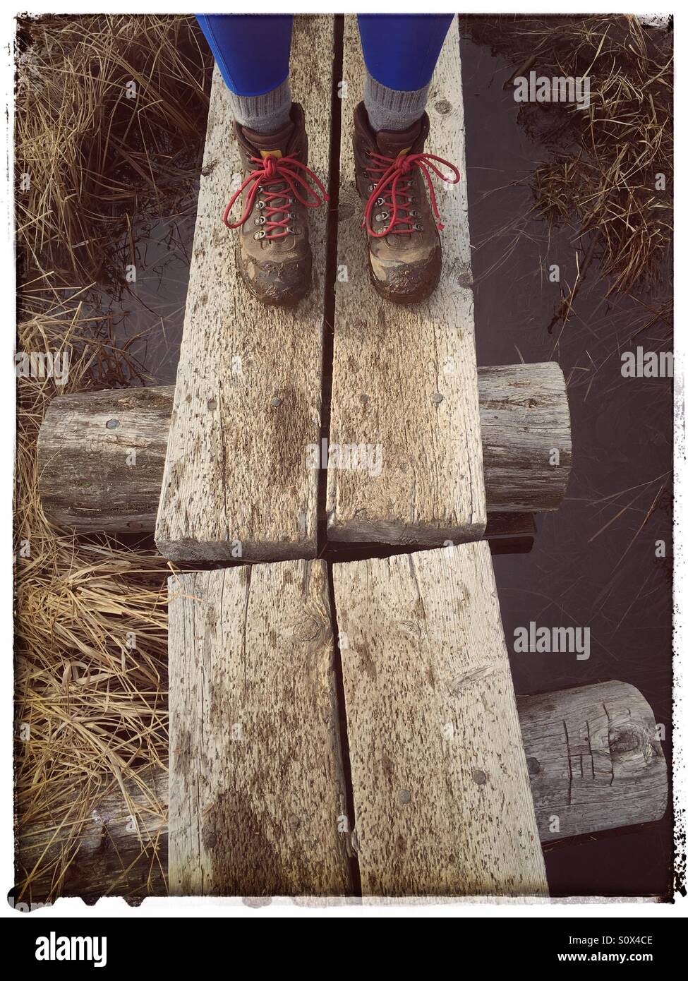 Wanderschuhe mit roten Schnürsenkeln Stockfotografie - Alamy