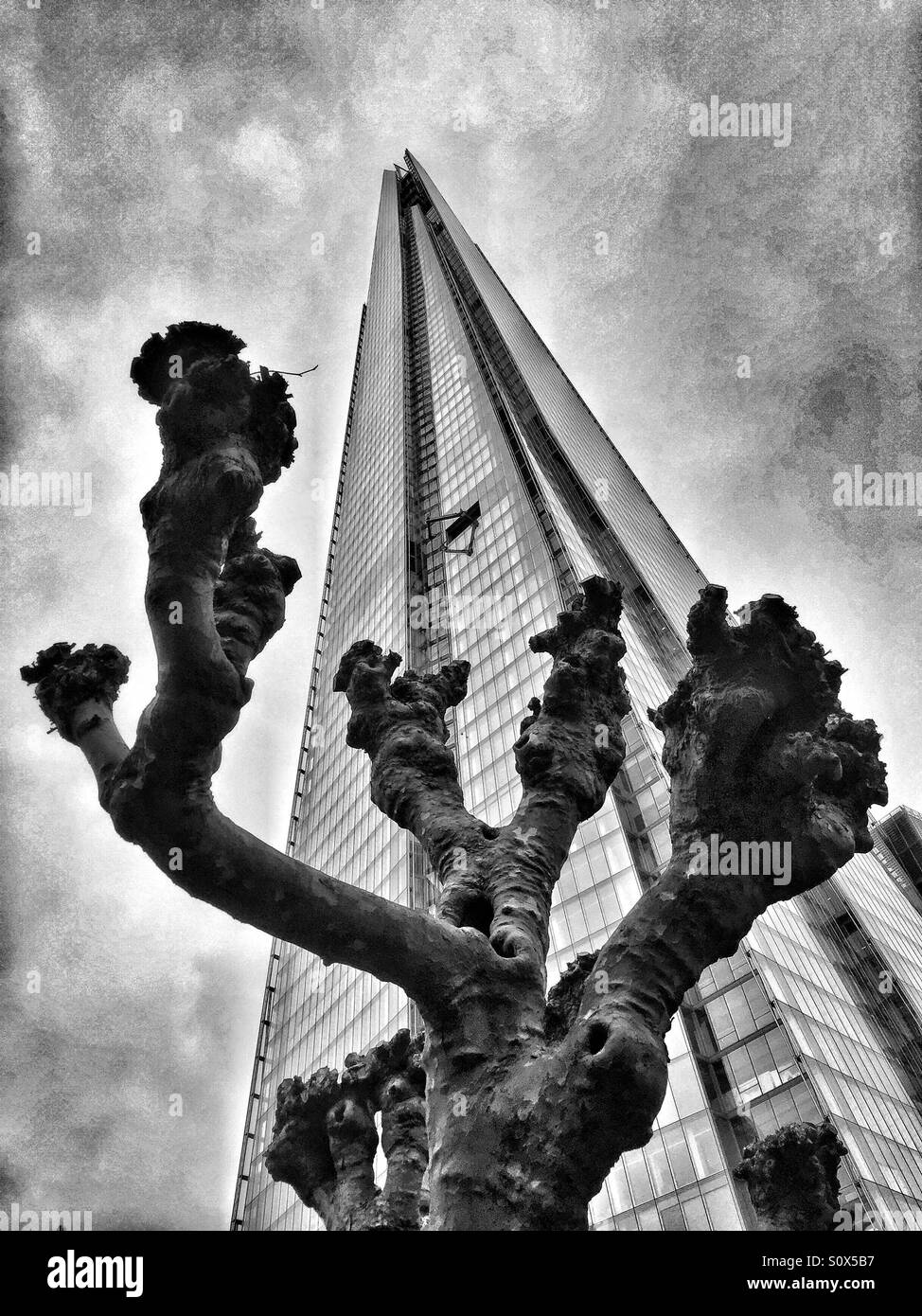 Die Scherbe und einen trockenen Baum. London, Vereinigtes Königreich Stockfoto