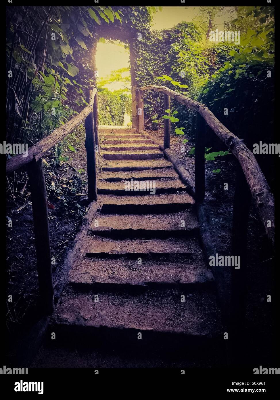 Garten-Schritte - Smartphone-aufgenommenes Stockfoto