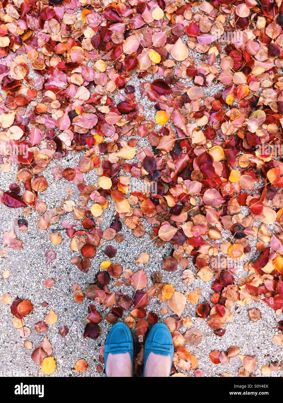 Füße in blauen Schuhen und Autumn leaves Stockfoto