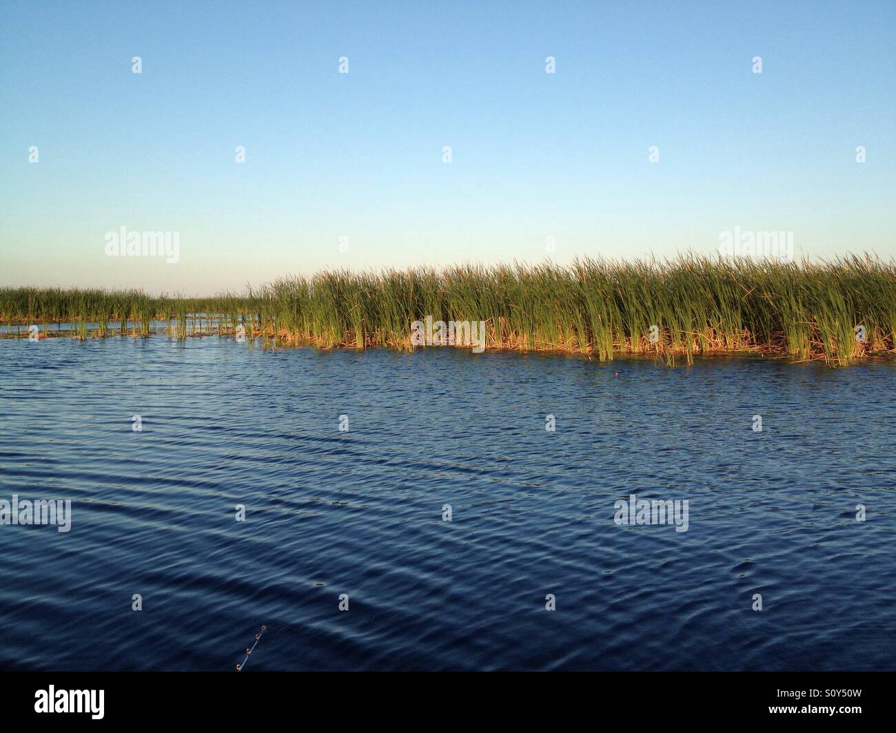 Lake Okeechobee Stockfoto