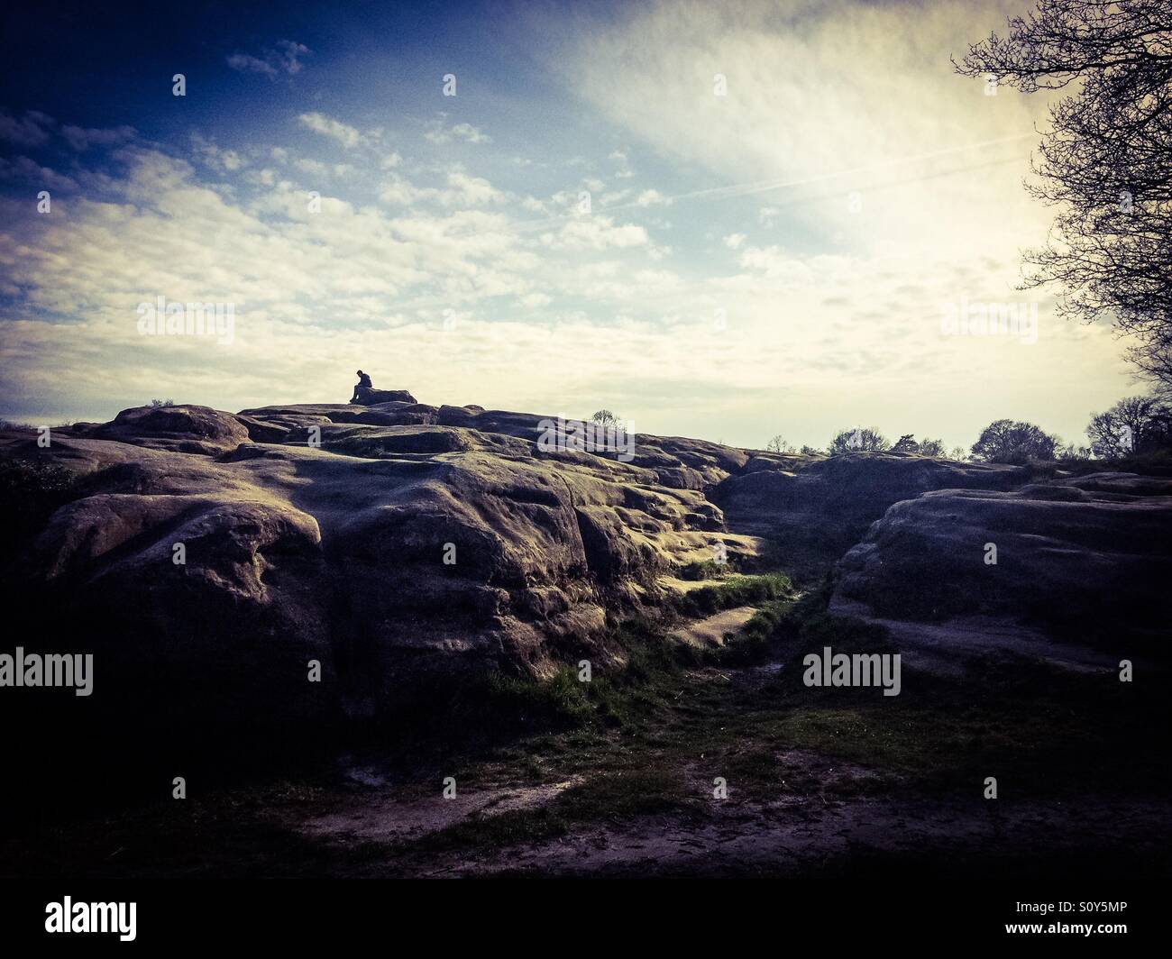 Wellington-Felsen am Royal Tunbridge Wells, Kent, England Stockfoto
