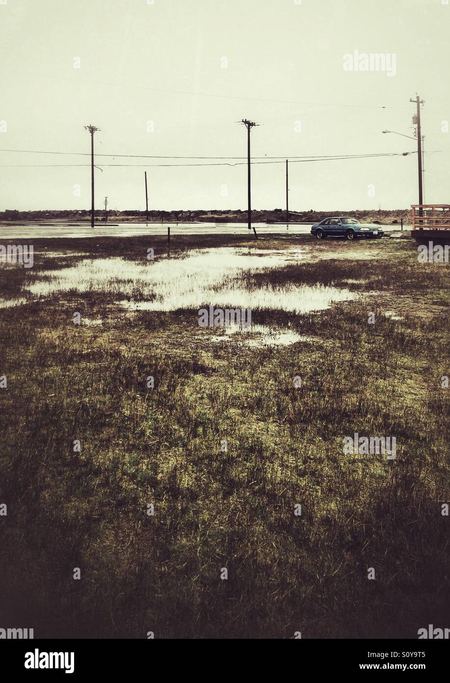 Mietwagen in das leere Feld - Smartphone-aufgenommenes Stockfoto