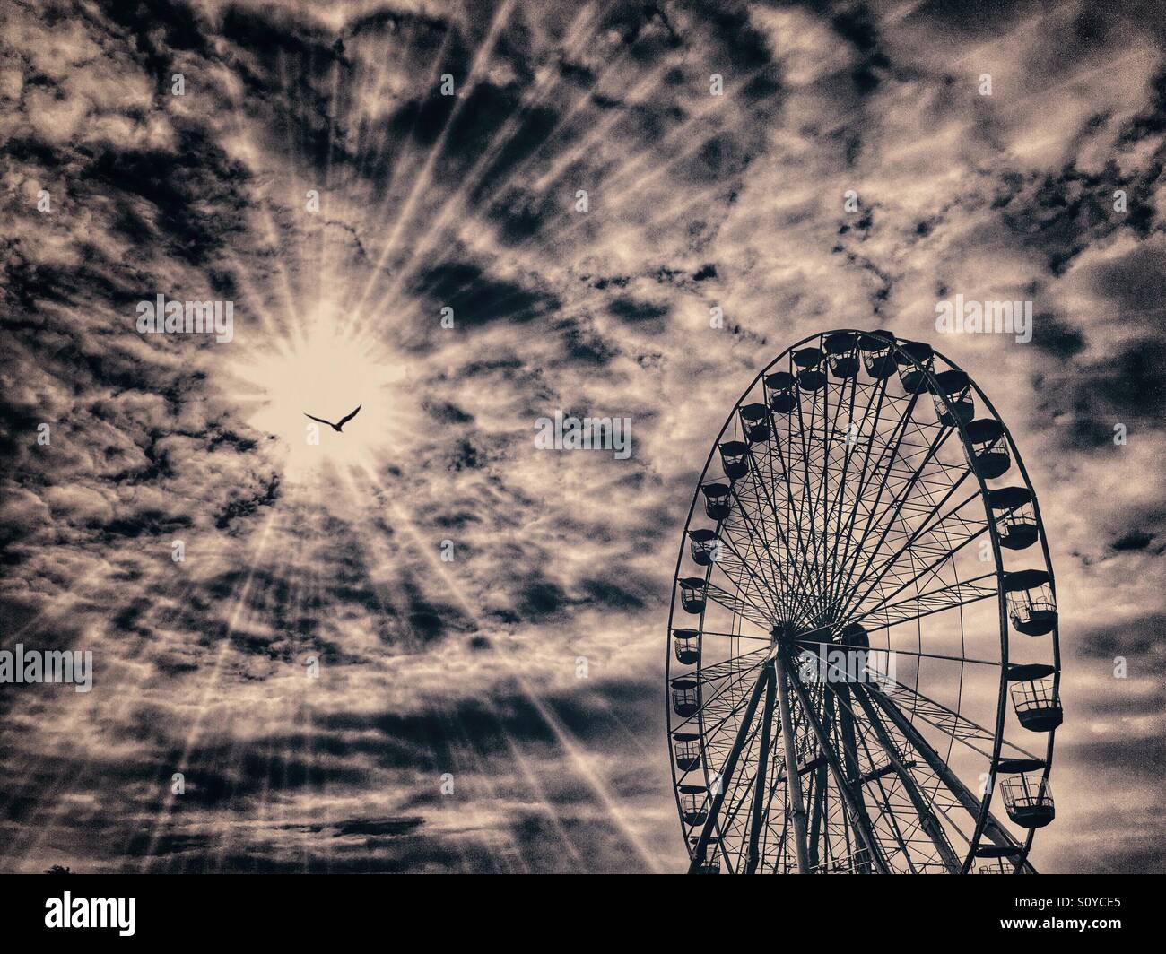 Große Riesenrad und Vogel Stockfoto