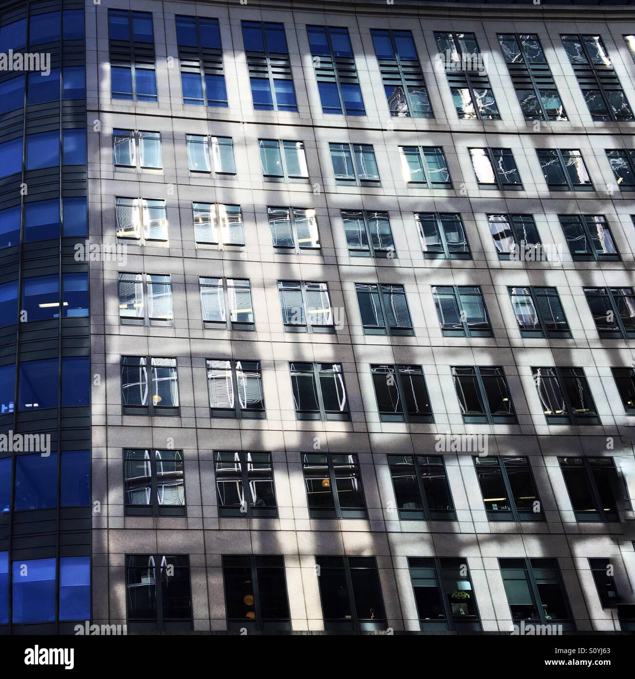 Reflexionen und Schatten von Windows auf einer Wand von Fenstern in der City of London Stockfoto