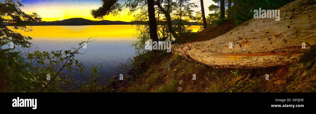 Blick auf Golden Lake Sonnenlicht aus Protokoll Stockfoto