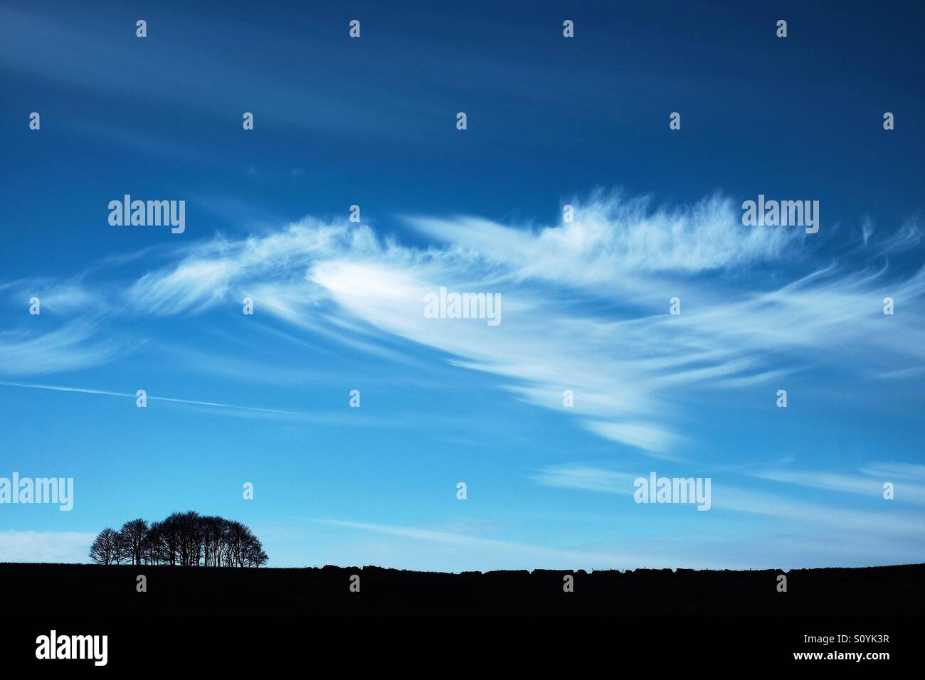Cirruswolken am blauen Himmel oben ein Niederwald Bäume zusammen mit einer Trockensteinmauer Silhouette. Stockfoto
