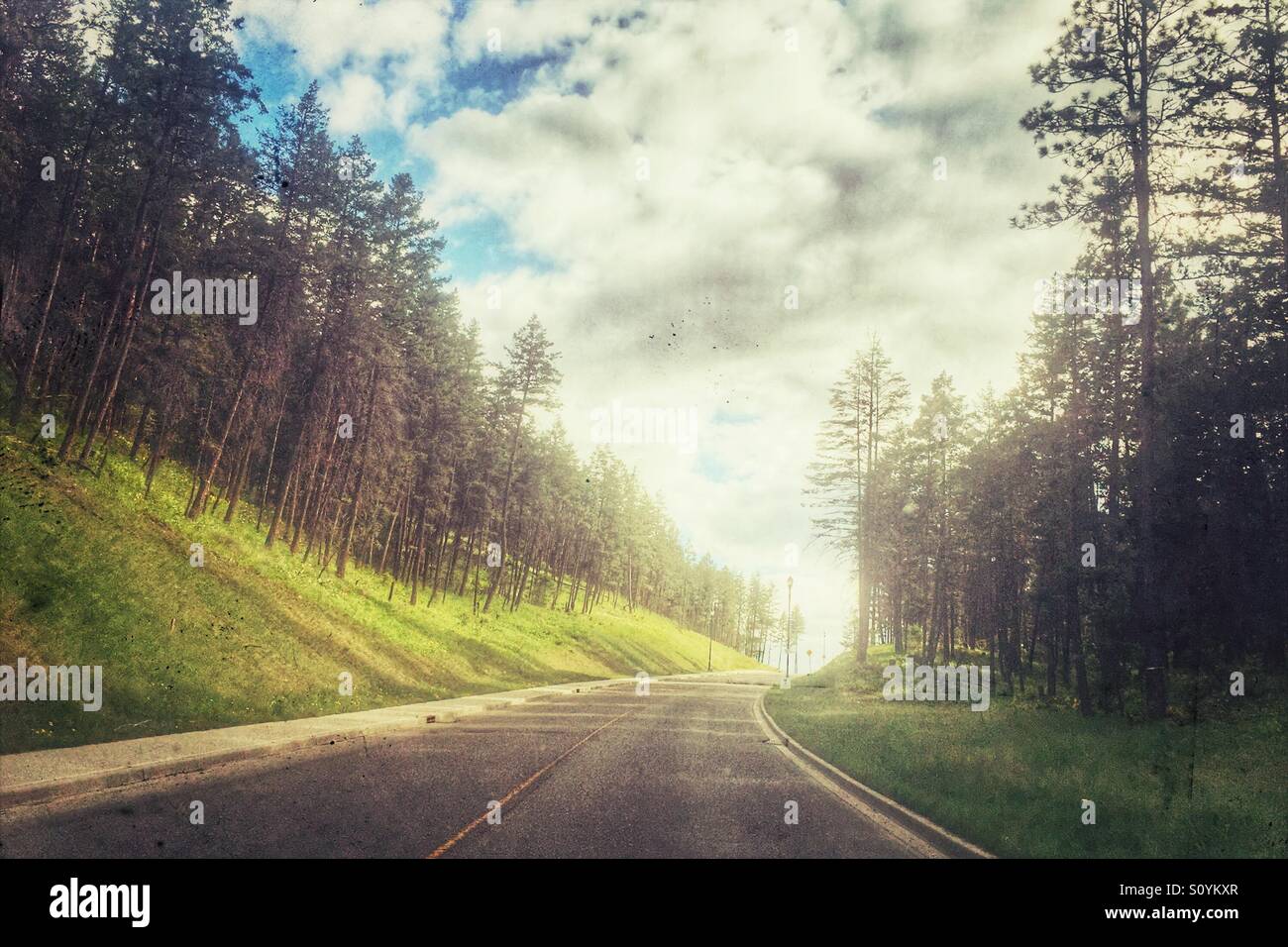 Straße durch den Wald. - Smartphone-aufgenommenes Stockfoto